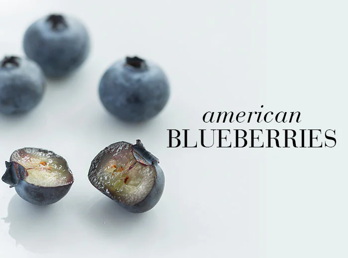 w_Blueberries_JBP5298_NewNordic_IG_1369_J_INT_700x700_American
